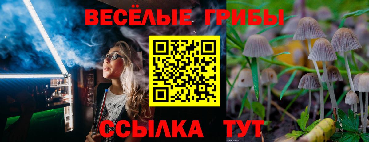 Галлюциногенные грибы GOLDEN TEACHER Заволжье