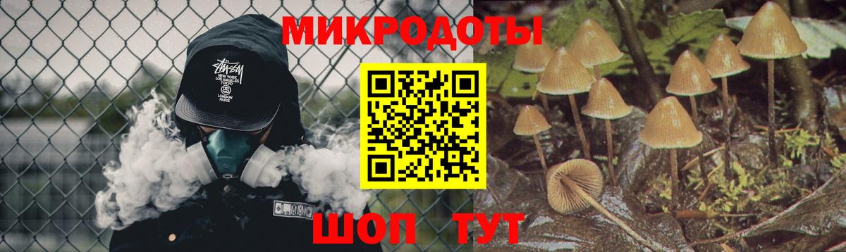 где купить   Псилоцибиновые грибы MAGIC MUSHROOMS  Заволжье  Вход с VPN  Галлюциногенные грибы мицелий 